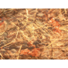 Сеть маскировочная SHOTTIME нетканая, 1.4x3.6м, 2 слоя, полиэстер, Камыш ST-CN-2x-1436-Re